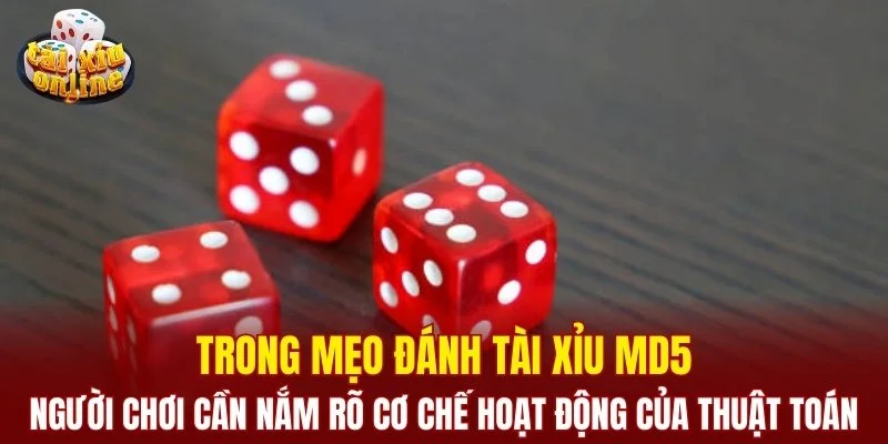 Mẹo đánh tài xỉu MD5 - phương pháp đặt cược dễ áp dụng Người chơi cần nắm rõ cơ chế hoạt động của thuật toán